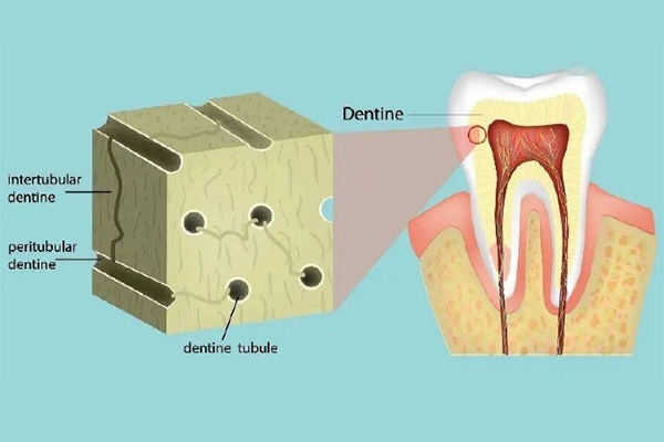 拔牙绳子的绑法(拔牙绳子的绑法图)