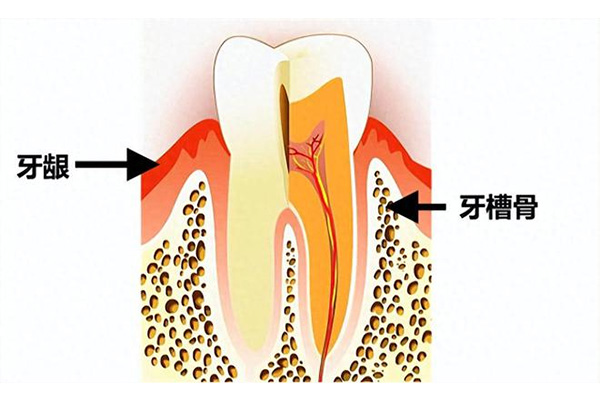 医保卡怎么报销拔牙费用(医保卡拔牙报销流程)