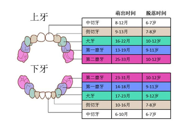 牙龈一侧出来一个小尖尖的东西(牙龈一侧出来一个小尖尖的东西怎么回事)