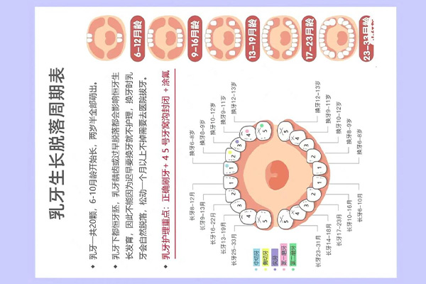 后槽牙长了个小牙齿吃东西也疼怎么办呢(后槽牙长了个小牙齿吃东西也疼怎么