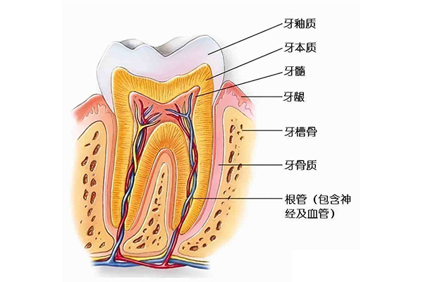 天包地能戴牙套矫正吗(天包地可以用牙套吗)