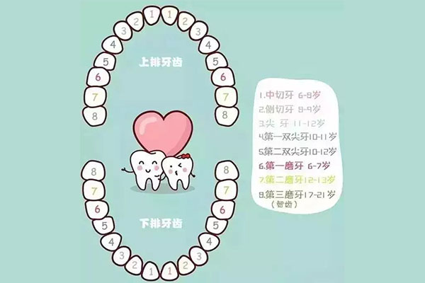 后槽牙长了个小牙齿疼痛吃什么药效果好(后槽牙长了个小牙齿疼痛吃什么药效