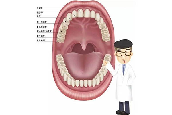 天包地牙齿小孩(孩子天包地牙怎么矫正)