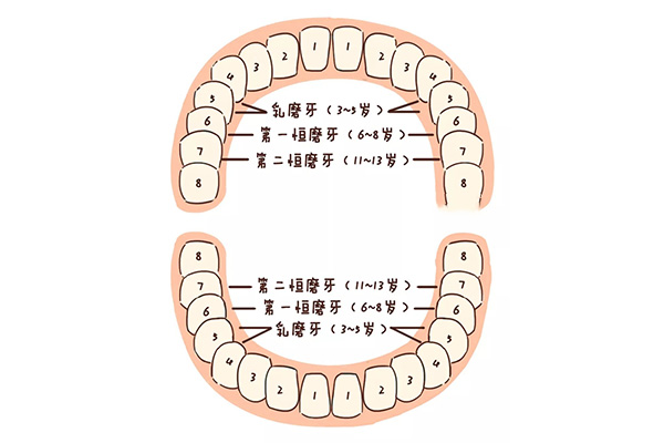 牙后根有个小洞怎么回事(牙后根有个