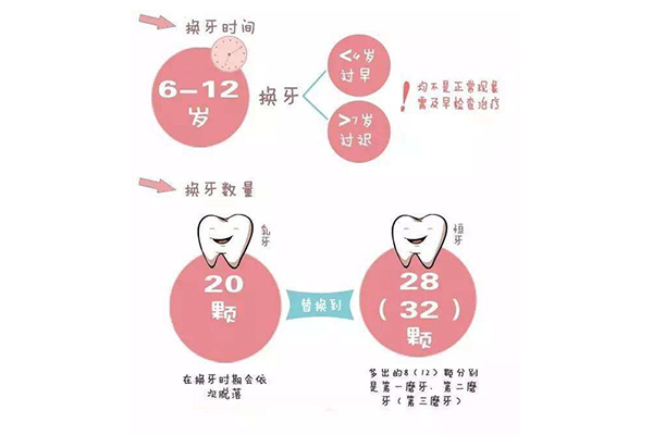 六龄牙怎么补最好(六龄牙怎么补最好图片)