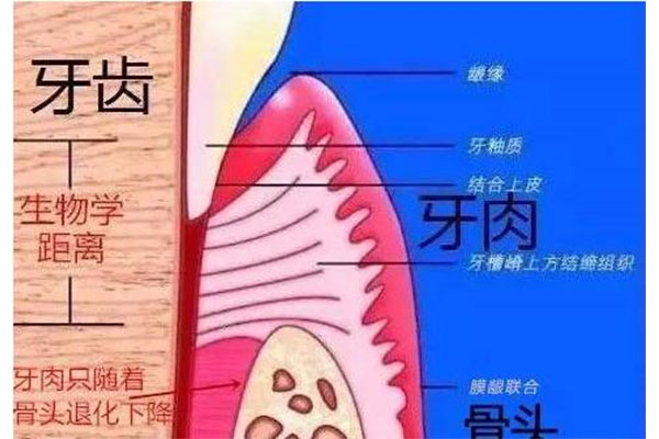 乳牙滞留拔不拔掉可以吗(乳牙滞留拔