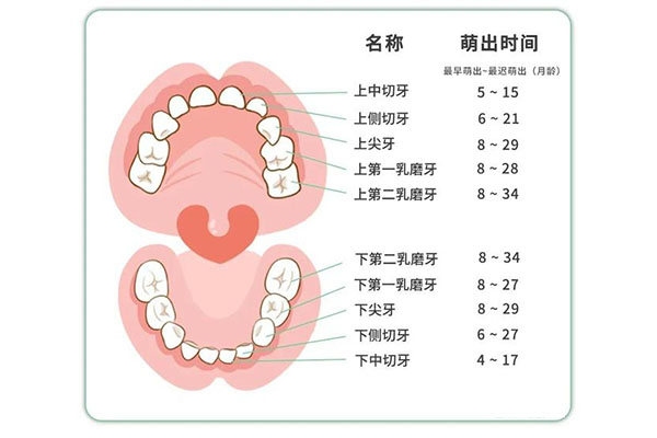 牙龈上长了一个小尖尖(牙龈上长了一