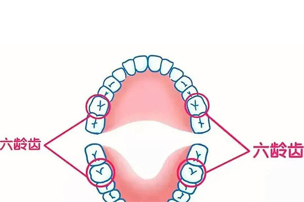 几岁孩子长六龄齿(几岁孩子长六龄齿