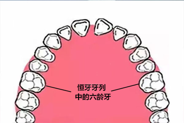 7岁长六龄齿晚上睡前发烧(七岁长牙发