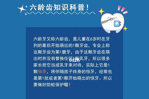 20颗牙哪个是六龄齿(20颗牙哪个是六龄