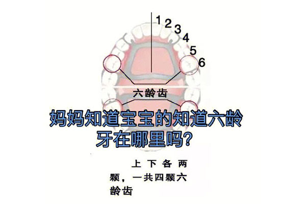 7岁了还没长六龄齿(7岁了还没长六龄