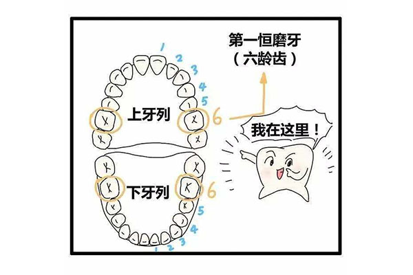 6岁六龄牙坏了怎么办会换吗正常吗