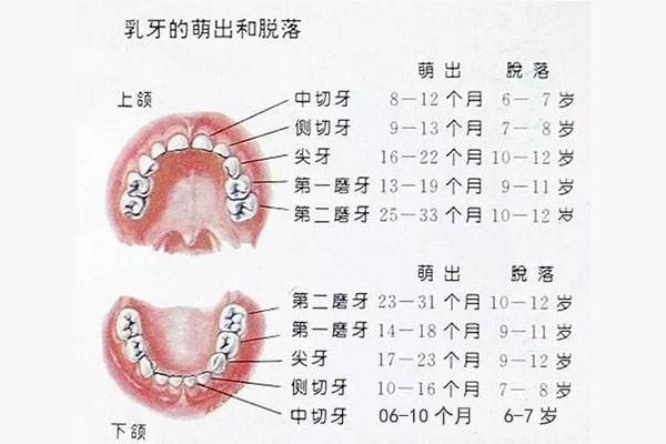 11岁六龄齿烂的就剩牙根了正常吗(11岁六龄齿烂的就剩牙根了正