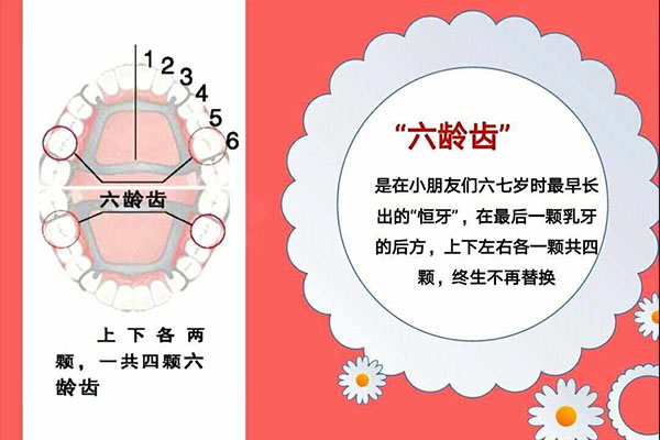 9岁六龄齿就全坏了还会长牙吗正常吗(9岁六龄齿就全坏了还会长