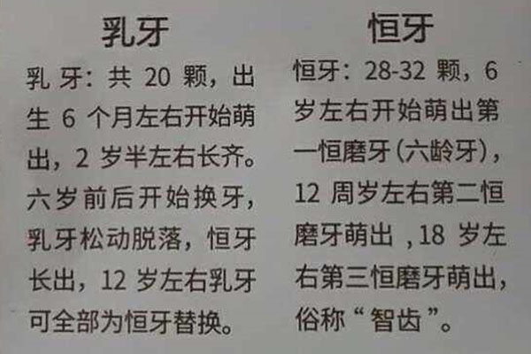 14岁六龄齿坏了医生说拔牙什么意思(14岁六龄齿坏了医生说拔牙