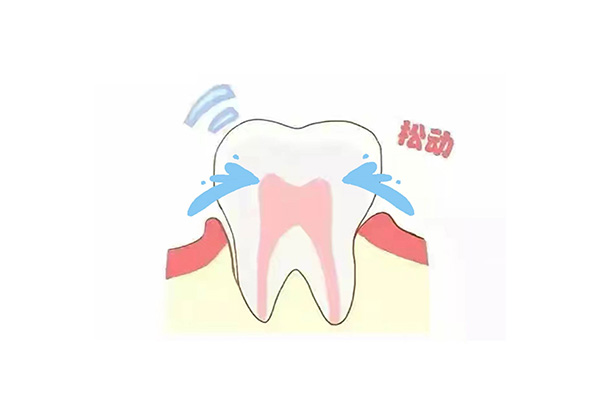 11岁儿童恒牙轻微松动怎么办(11岁儿童恒牙轻微松动怎么办呀)