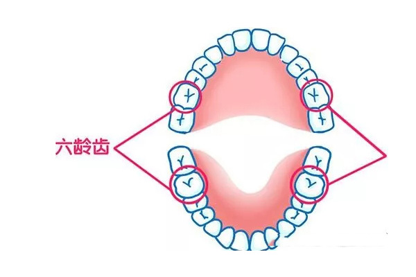 七岁六龄齿还没长出来怎么办(七岁六龄齿还没长出来怎么办呀