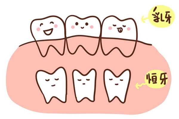 27岁乳牙滞留多久要拔(27岁乳牙滞留多