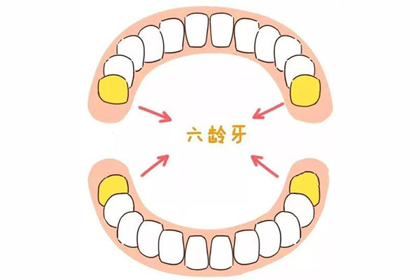 七周岁六龄齿还没有长出来怎么办啊(七周岁六龄齿还没有长出来