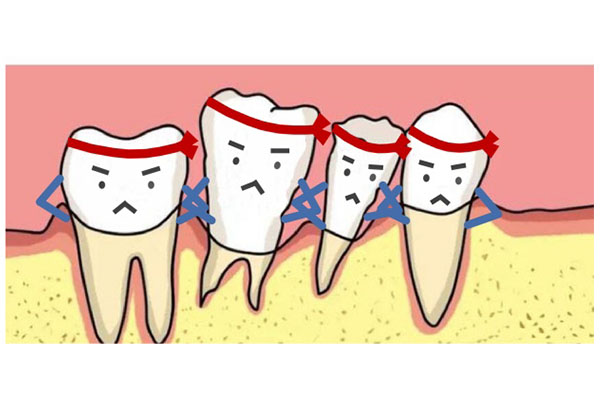 40岁牙齿松动牙龈萎缩怎么办呢(40岁牙齿松动牙龈萎缩怎么办呢