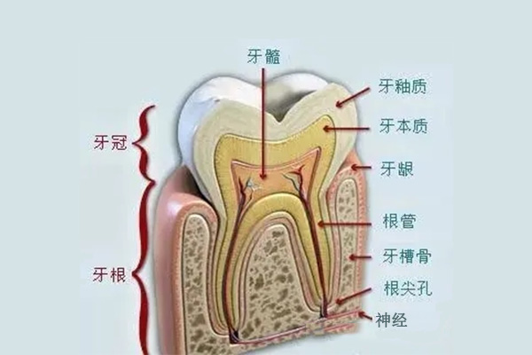 牙体缺损过大可以打桩做牙冠吗多少